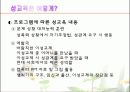 청소년을 위한 성교육 방법 14페이지