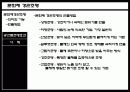 문화재 경관조명(경주지역을 중심으로) 4페이지