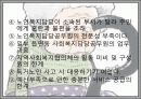 노인복지서비스정책, 소득보충제도, 의료지원제도, 재가복지사업, 시설보호사업, 경로우대제도, 노인복지서비스전달체계 파워포인트 PPT 48페이지