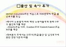 캐나다의 가족복지정책(아동보육정책, 출산, 육아휴가, 관련법규, 유연근로시간제) 파워포인트 PPT 8페이지