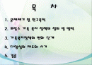(외국의 가족복지정책) 프랑스의 한부모가정 및 가족복지 정책의 특징 파워포인트 PPT 2페이지