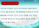 (지역사회 기관방문보고서) 행동하는복지연합(지역사회복지운동) 파워포인트 PPT 4페이지