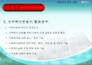 (지역사회 기관방문보고서) 행동하는복지연합(지역사회복지운동) 파워포인트 PPT 16페이지