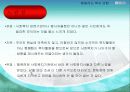 (지역사회 기관방문보고서) 행동하는복지연합(지역사회복지운동) 파워포인트 PPT 31페이지