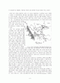 십자군 전쟁 - 유럽과 이슬람의 정치적, 사회적 영향 및 동서양의 융합 9페이지