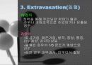 항암제 안전관리 12페이지