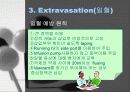 항암제 안전관리 13페이지