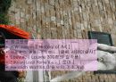 서양미술사 7 .  20C 현대미술 - 포스트모던 45페이지