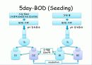 BOD & DO 실험방법 정리 4페이지