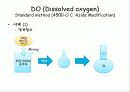 BOD & DO 실험방법 정리 6페이지