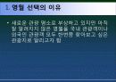 강원도영월 관광마케팅전략 파워포인트 4페이지