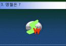 강원도영월 관광마케팅전략 파워포인트 8페이지