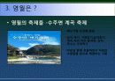 강원도영월 관광마케팅전략 파워포인트 11페이지
