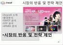 레포트 애니콜 마케팅 분석 29페이지