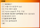 [생물정보학] NCBI BLAST 사용 법 -ppt 2페이지