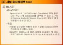 [생물정보학] NCBI BLAST 사용 법 -ppt 5페이지