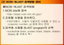 [생물정보학] NCBI BLAST 사용 법 -ppt 10페이지