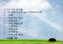 노인과 죽음(죽음의 정의, 태도, 임종(터미널)케어, 임종과 사별에 대한 사회복지사의 역할) 보고서 11페이지
