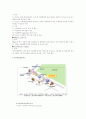 노인의 자살(노년기자살, 원인, 사례, 예방과 과제, 한국자살예방센터, 느낀점, 부록 자살우울증 척도)보고서 11페이지