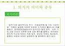 노인의 정년퇴직(퇴직의 의미와 종류, 관련사례, 퇴직후생활계획, 문제점 및 해결방안) 파워포인트 PPT자료 3페이지