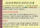 보육학 프로젝트 접근법(정의, 목적, 특징, 내용, 실태, 문제점, 사례조사, 활용) 파워포인트 PPT 17페이지