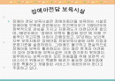 장애아 전담 보육 파워포인트 PPT 프리젠테이션 2페이지