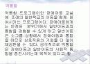 장애아 통합보육 파워포인트 PPT자료 - 이론적 배경, 사례, 기본방향, 지원과 효과, 발전과제 19페이지