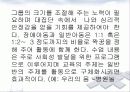 장애아 통합보육 파워포인트 PPT자료 - 이론적 배경, 사례, 기본방향, 지원과 효과, 발전과제 24페이지