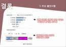 스마트폰 열풍에대한 KT의 대응전략 16페이지