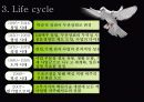 두산 가족기업분석 5페이지