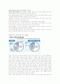 세종시 수정안 반대입장 4페이지