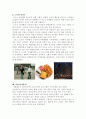 우리나라의 도시와농촌의 의식주 비교 4페이지