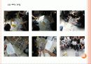 기계공학입문 (스파게티) 15페이지