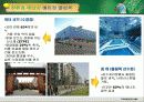 스포츠화 환경문제 13페이지