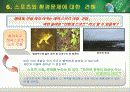 스포츠화 환경문제 20페이지
