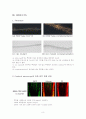 Arabidopsis 뿌리표피세포에서 CPC의 발현양상 조사 8페이지