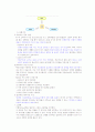 성공하는프리젠테이션족보 9페이지
