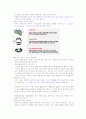 성공하는프리젠테이션족보 42페이지