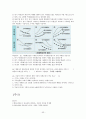 증권투자의 첫걸음 족보 55페이지