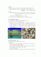 서양조경사 10페이지