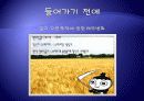 근대의 꽃 - 자본주의와 광고 광고가 가지는 의미 4페이지