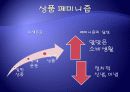 근대의 꽃 - 자본주의와 광고 광고가 가지는 의미 39페이지