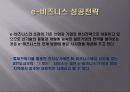 e비즈니스 모델의 실행 13페이지