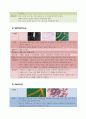 식중독의 모든 것 7페이지
