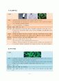 식중독의 모든 것 9페이지