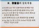 광물질과 대사작용 9페이지