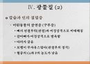 광물질과 대사작용 11페이지