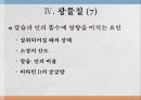 광물질과 대사작용 16페이지