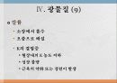 광물질과 대사작용 18페이지