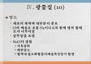 광물질과 대사작용 19페이지